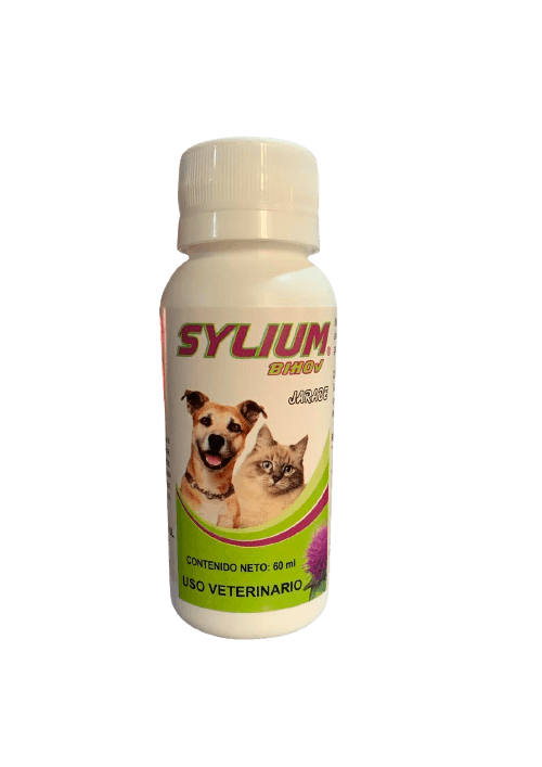 SYLIUM JARABE X 60 ML