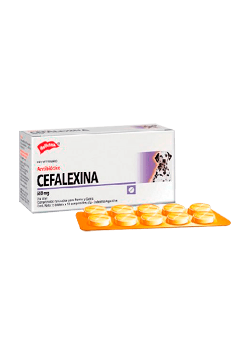 CEFALEXINA 500 MG BLISTER X 10 TABLETAS