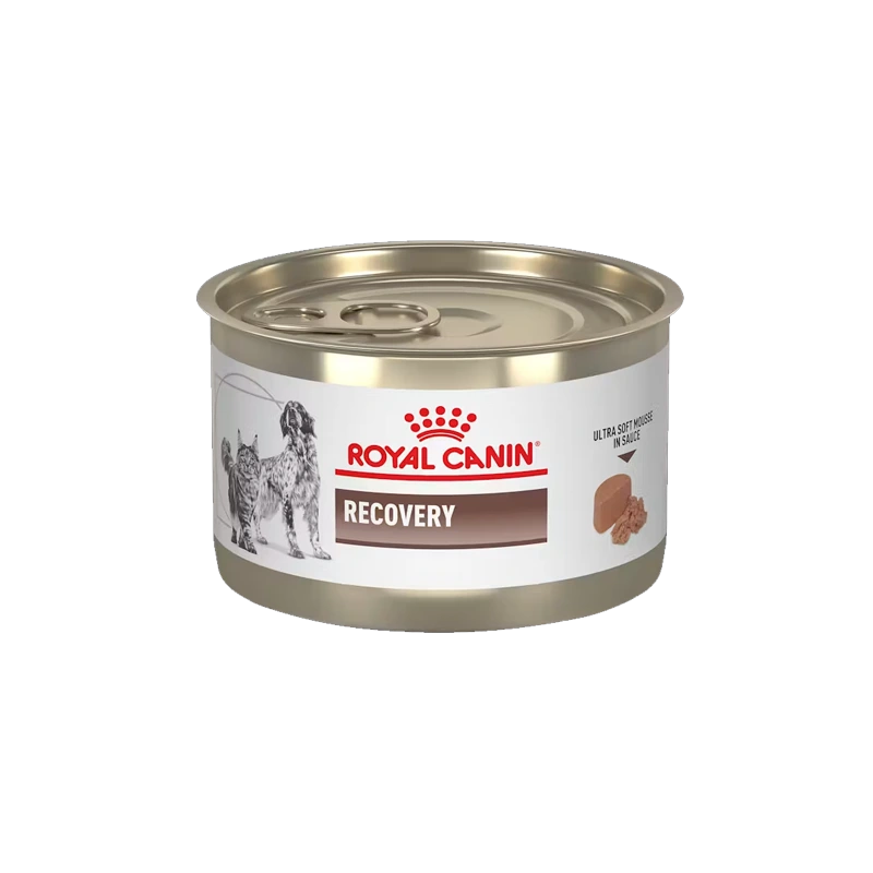 ROYAL CANIN C LATA RECOVERY 145 GR
