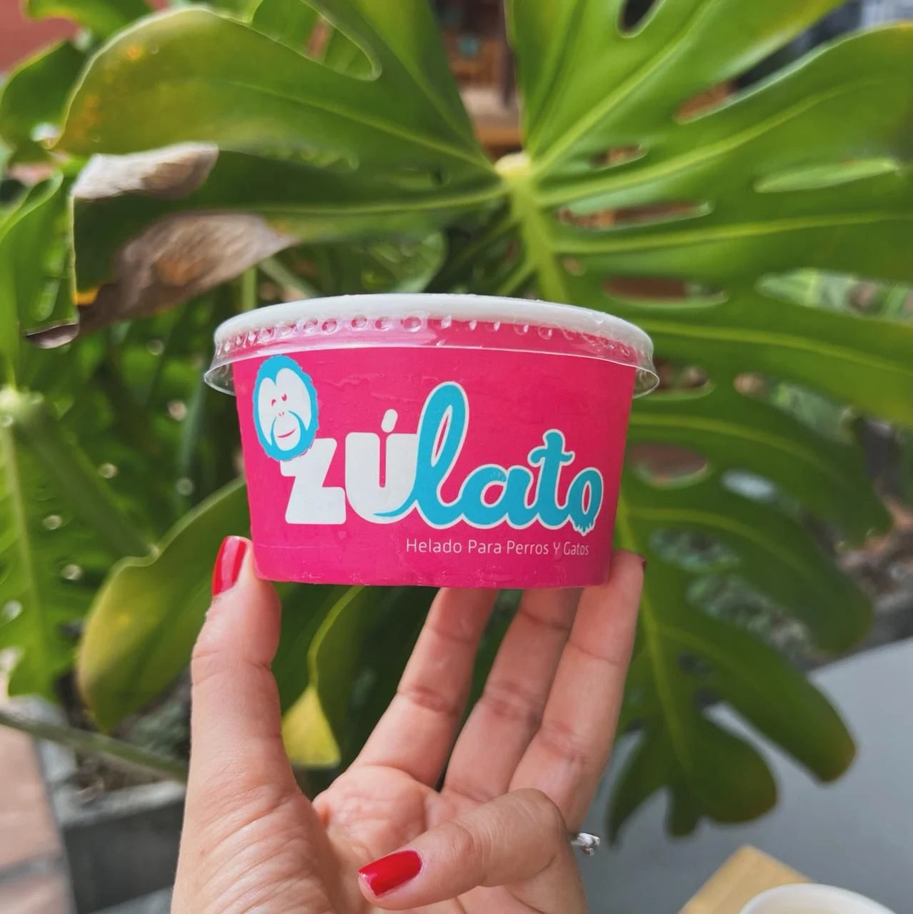 ZULATO HELADO DE PESCADO X 130 G