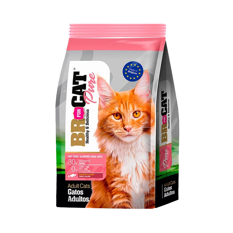 BR FOR CAT ADULTO SALMON X 1KG