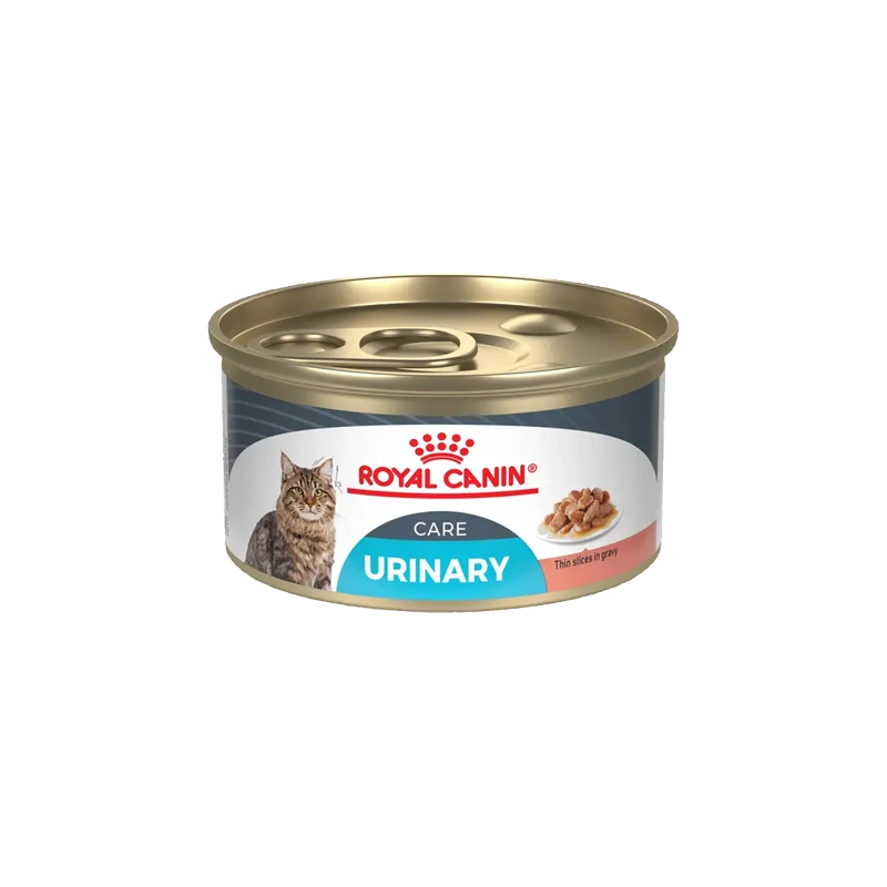 ROYAL CANIN F LATA URINARY CARE X 85 GR