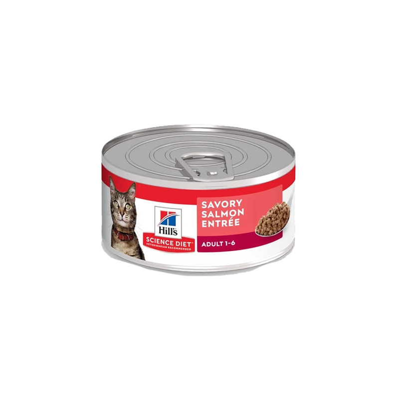 HILLS F LATA SALMON X 5,5 OZ