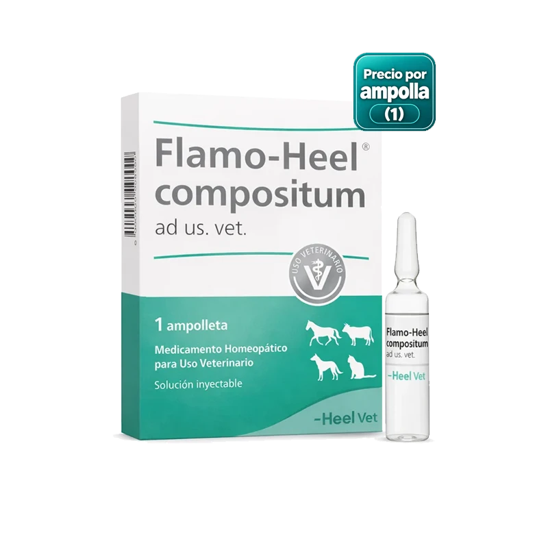 HEEL COENZYME COMPOSITUM VET X AMPOLLA X 5 ML