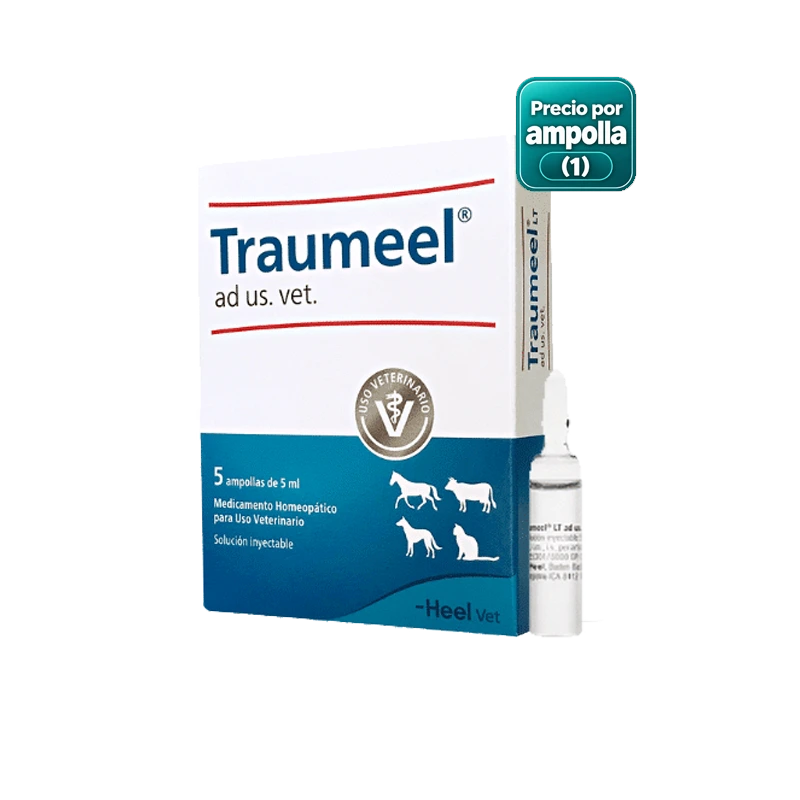 HEEL TRAUMEEL VET LT X AMPOLLA 5 ML
