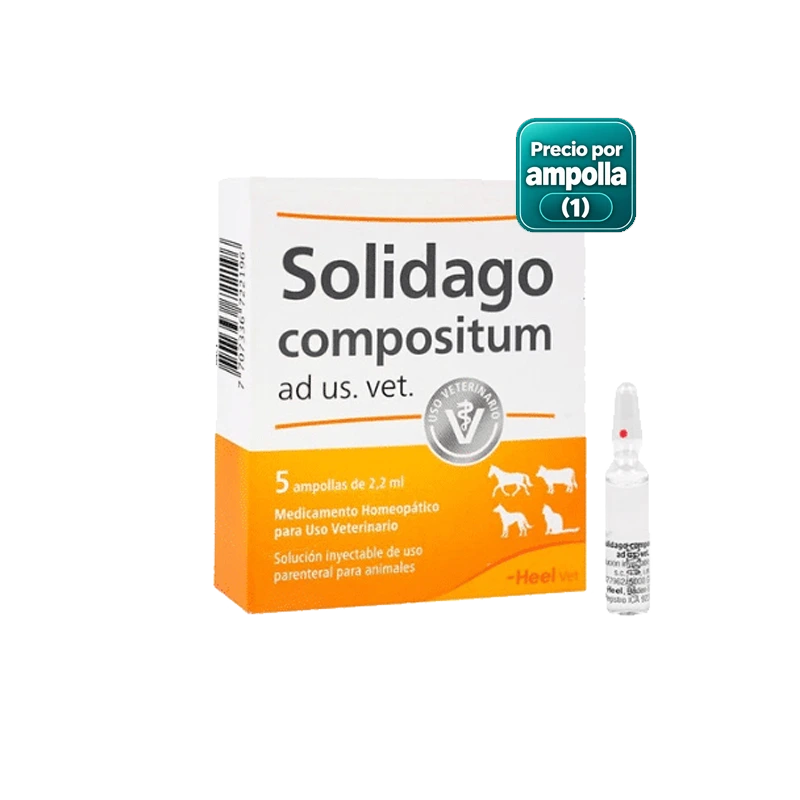 HEEL SOLIDAGO VETERINARIA X AMPOLLA 2.2 ML