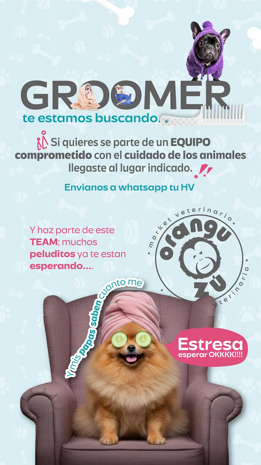 Imagen popup